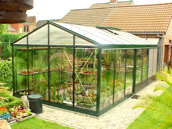 Tropic Maxi - Afbeelding 5